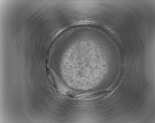 X0000052571313200507152242