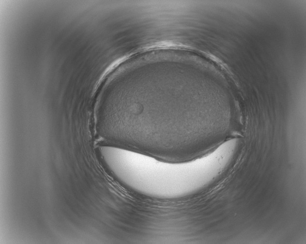 X0000052571314200507152242