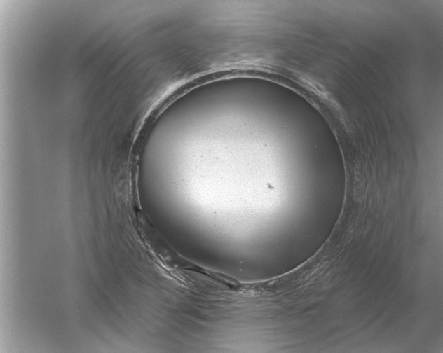 X0000052571316200507152242