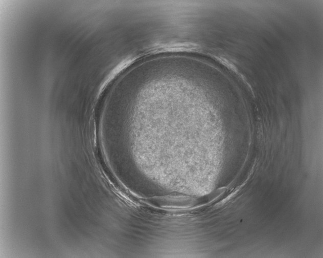 X0000052571317200507152242