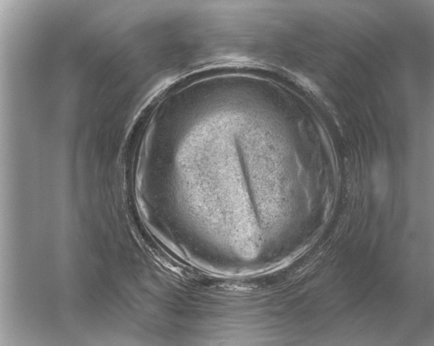 X0000052571318200507152242