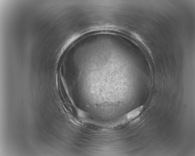 X0000052571320200507152242