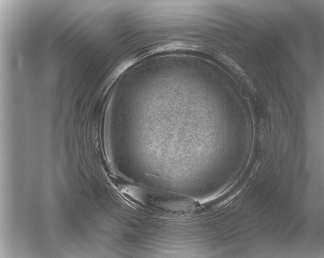 X0000052571321200507152242