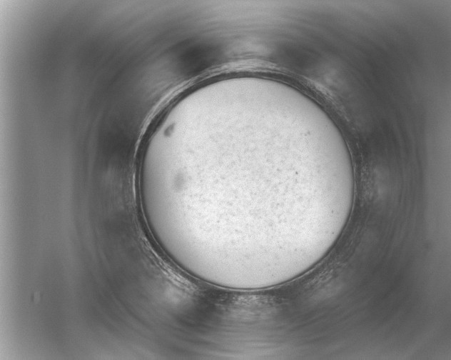 X0000052571322200507152242