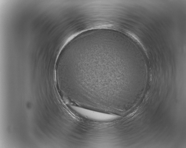 X0000052571324200507152242