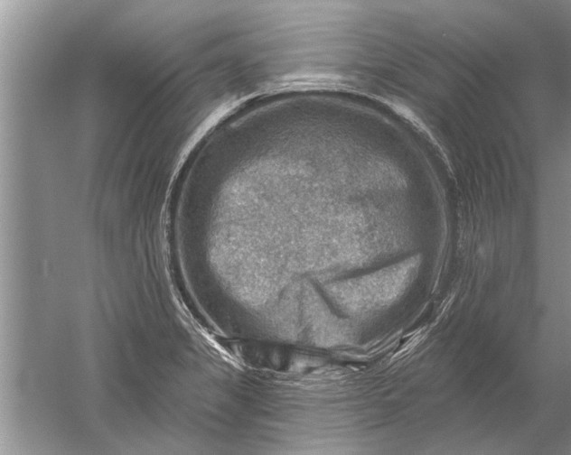 X0000052571325200507152242