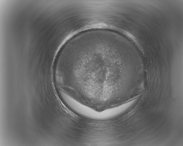 X0000052571326200507152242