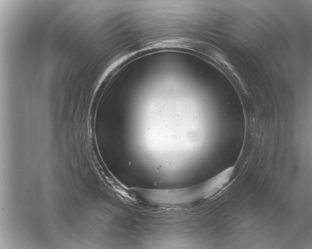 X0000052571328200507152242