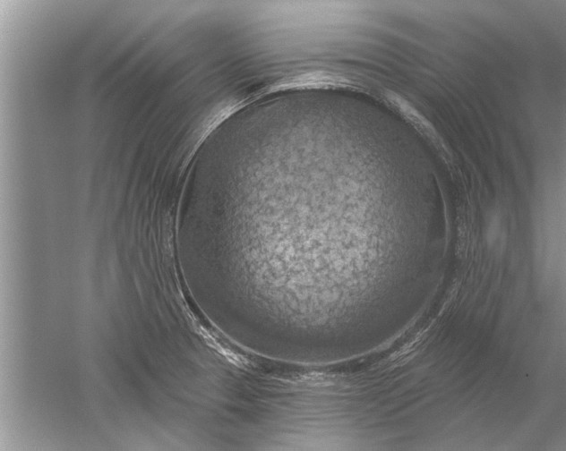 X0000052571329200507152242