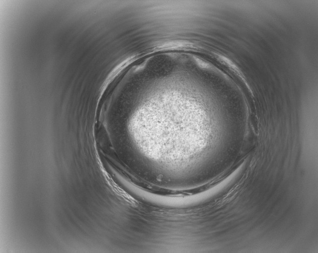 X0000052571330200507152242