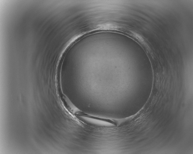 X0000052571331200507152242