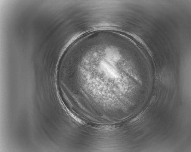 X0000052571333200507152242