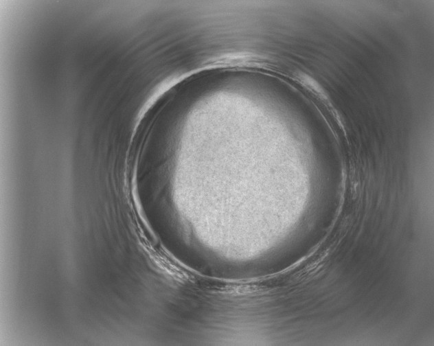 X0000052571336200507152242