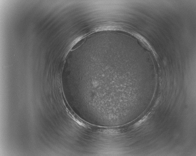 X0000052571337200507152242