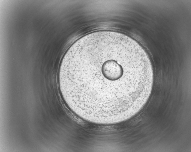 X0000052571338200507152242