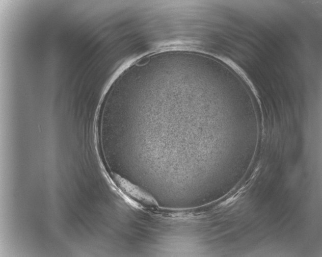 X0000052571341200507152242