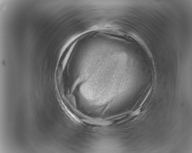 X0000052571344200507152242