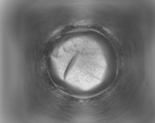 X0000052571350200507152241