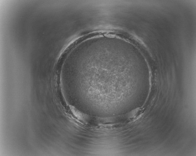 X0000052571352200507152241