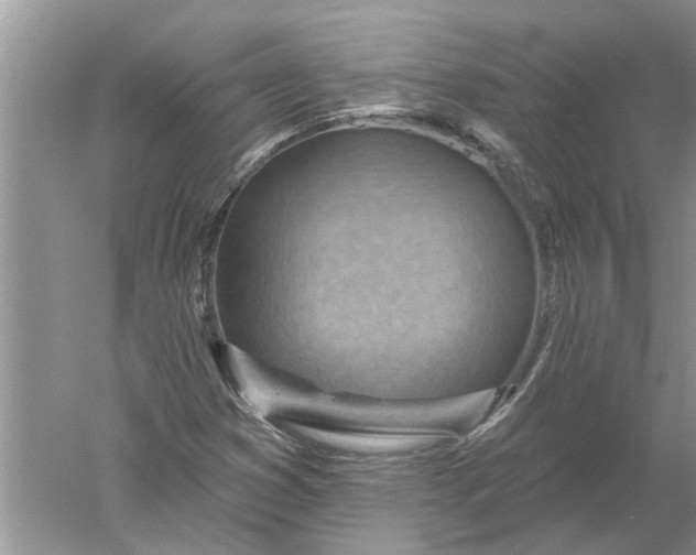 X0000052571353200507152241