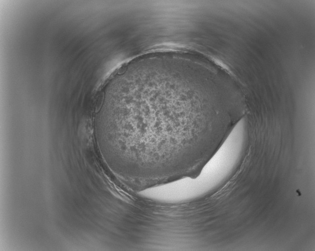 X0000052571355200507152241