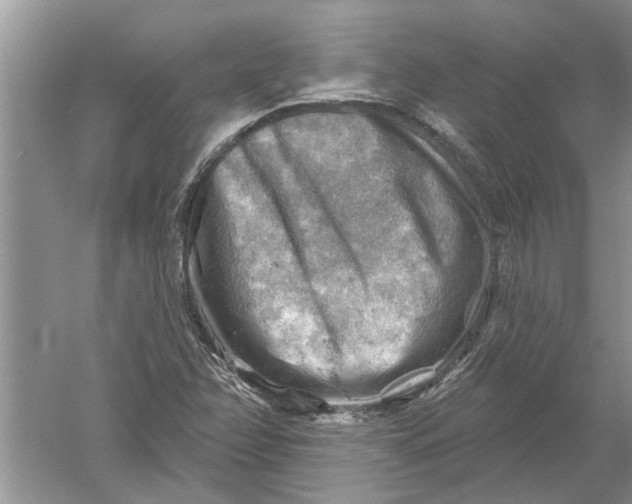 X0000052571358200507152241