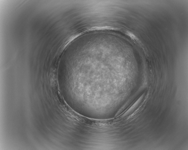 X0000052571361200507152241