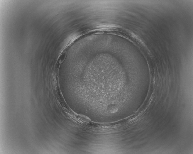 X0000052571362200507152241