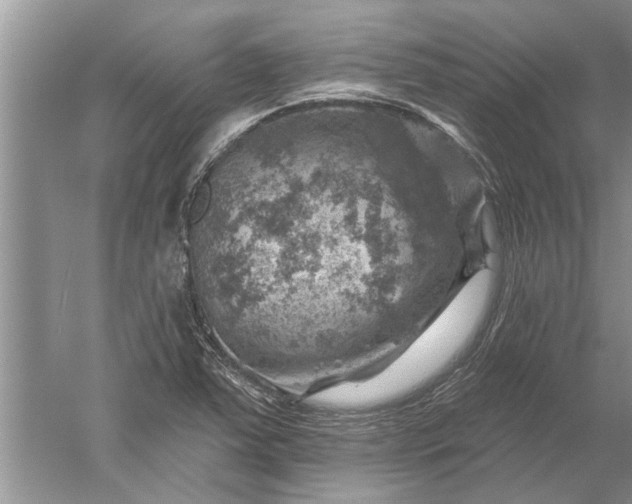 X0000052571363200507152241