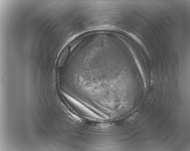 X0000052571364200507152241