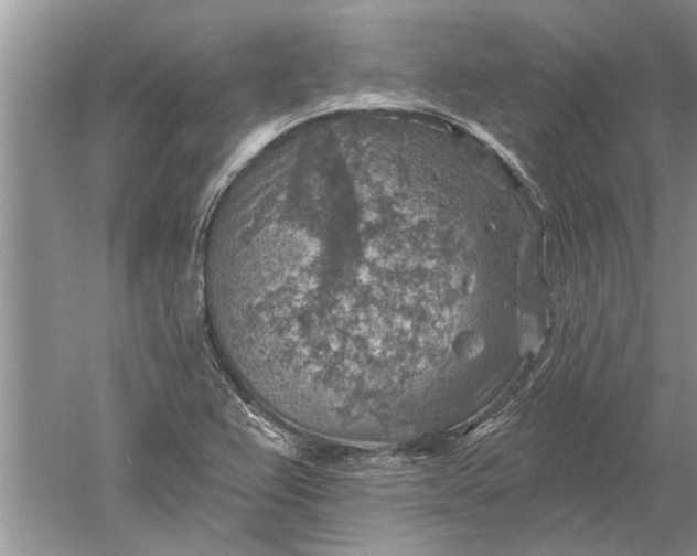 X0000052571367200507152241