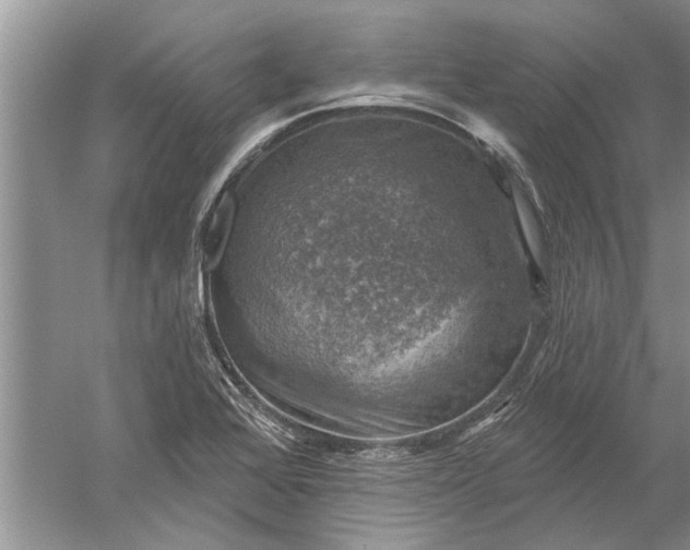 X0000052571368200507152241