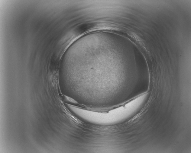 X0000052571369200507152241