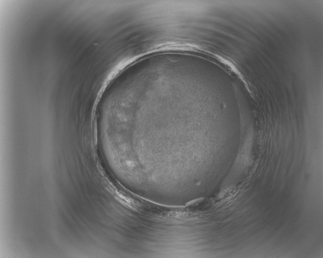 X0000052571371200507152241