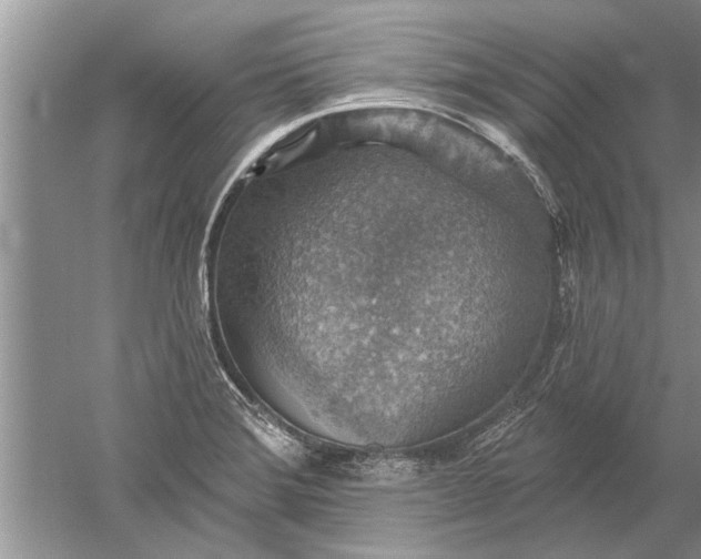 X0000052571372200507152241