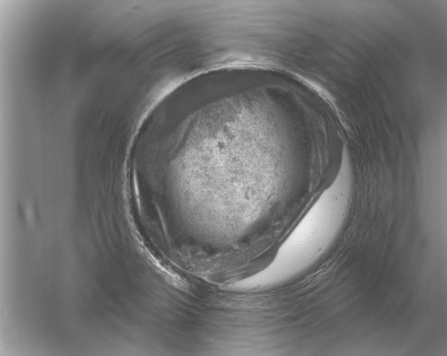 X0000052571375200507152241