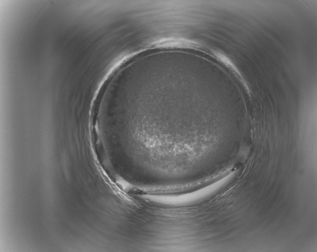 X0000052571376200507152241