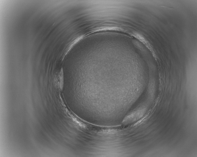 X0000052571377200507152241