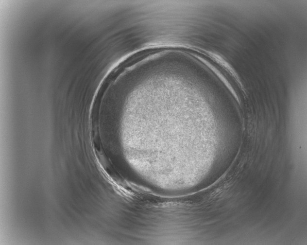 X0000052571380200507152241