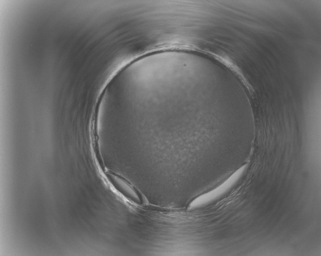 X0000052571383200507152241