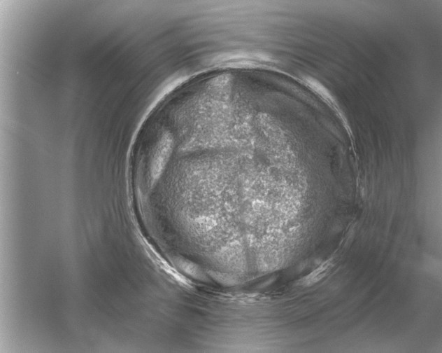 X0000052571384200507152241