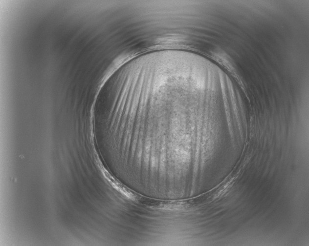 X0000052571386200507152241