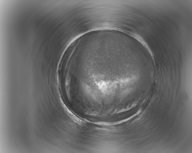 X0000052571388200507152241