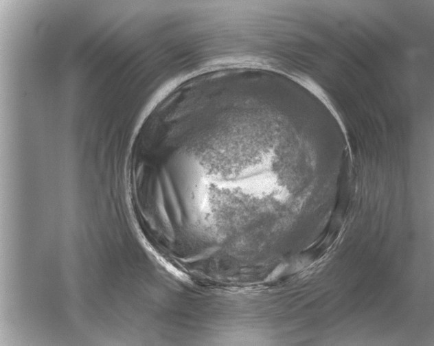 X0000052571389200507152241