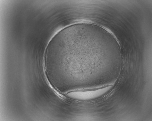 X0000052571391200507152241