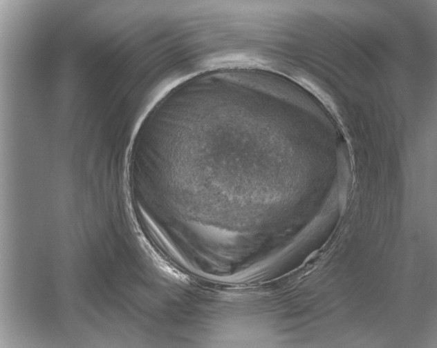 X0000052571392200507152241