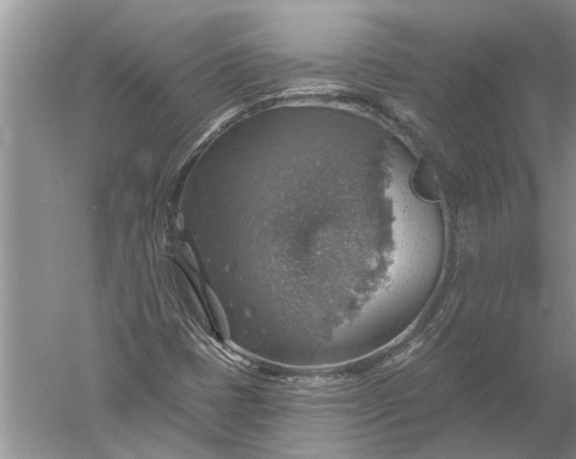 X0000052571401200507152240