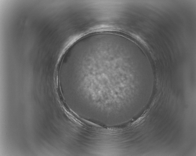 X0000052571413200507152240