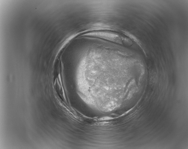 X0000052571415200507152240