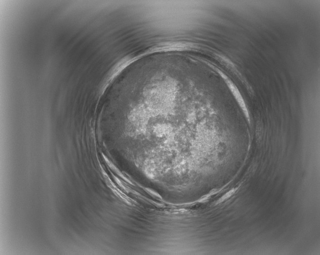 X0000052571417200507152240